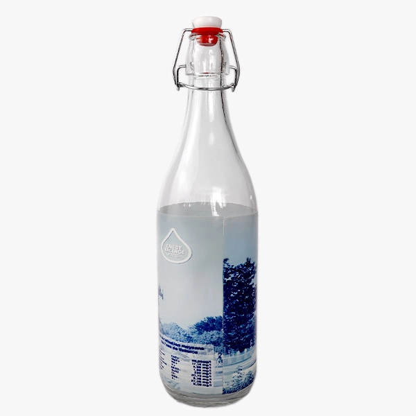 Fruit Juice Glass Bottle